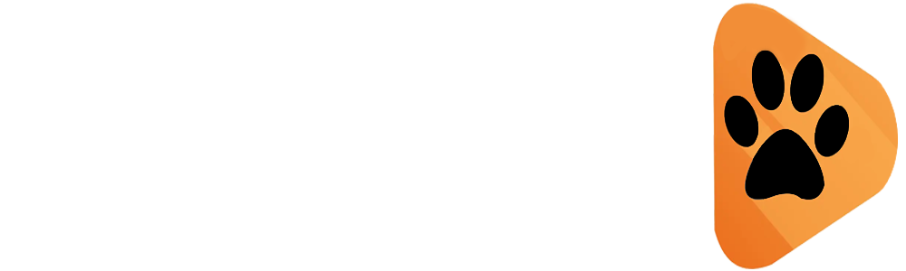 Mega Tigre